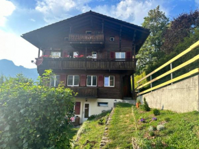 Chalet Luegistal